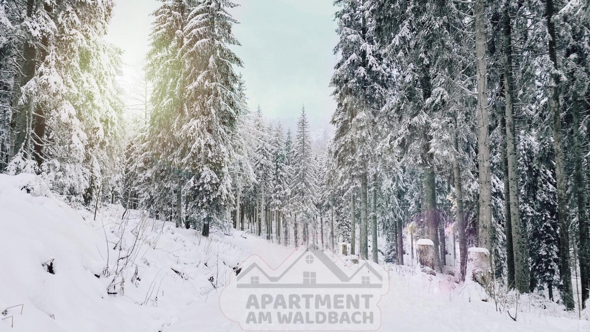 Apartment Am Waldbach Gernsbach Ngoại thất bức ảnh